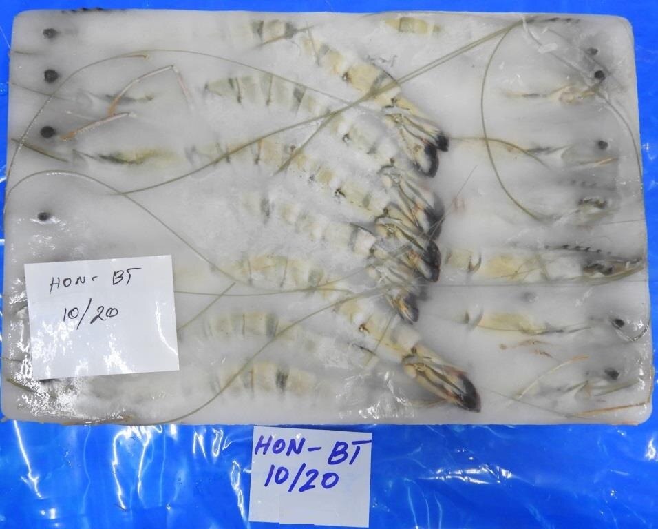 HEAD ON BLACK TIGER SHRIMPS & PRAWNS (BLOCK) image 5
