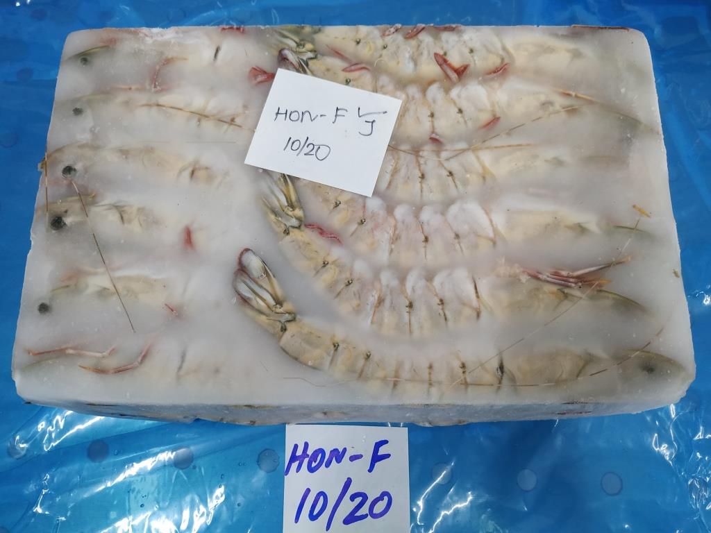 HEAD ON FLOWER SHRIMPS & PRAWNS (BLOCK) image 6