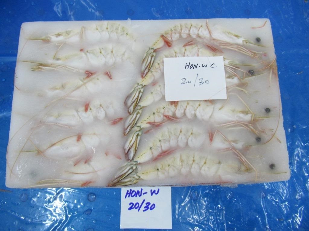 HEAD ON WHITE SHRIMPS/PRAWNS - 20/30 GRADE image 2