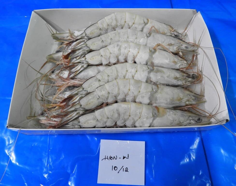 HEAD ON WHITE SHRIMPS/PRAWNS - SEMI IQF image 2