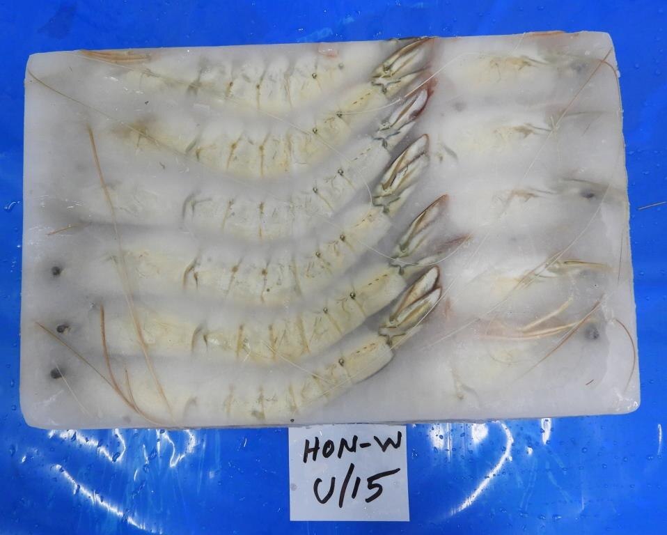 HEAD ON WHITE PRAWNS image 3
