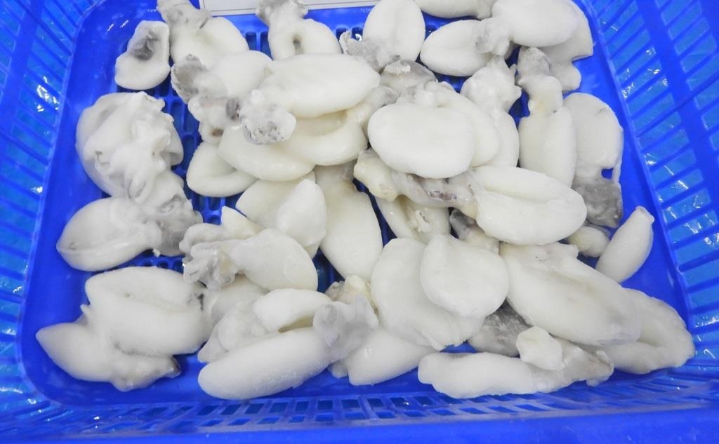 BABY CUTTLEFISH (IQF) image 5