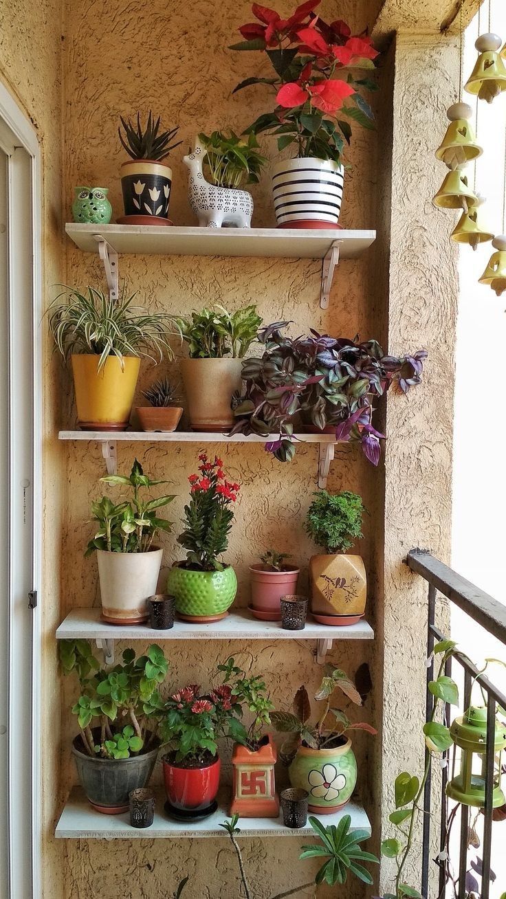 Small Balcony Gardening Ideas & Setup in Chennai image 4