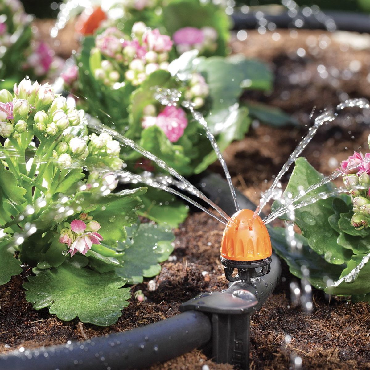 Outdoor Garden Drip Irrigation Setup Chennai image 2