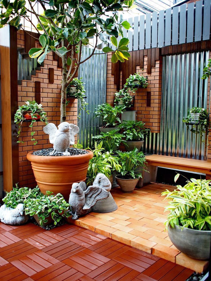Outdoor Plants & Garden Makeover Service Chennai image 3