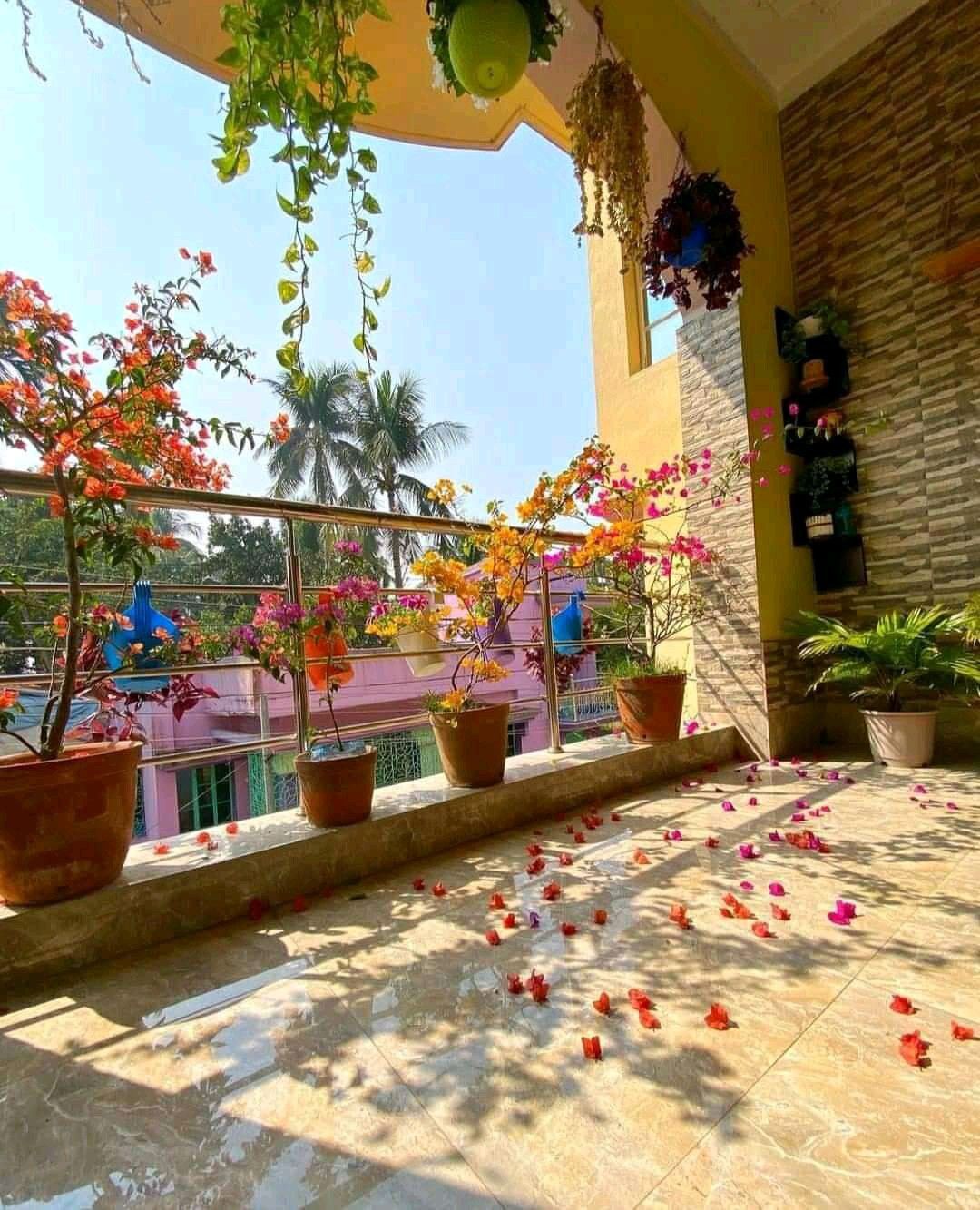 Expert Balcony Gardening Company in Chennai image 5