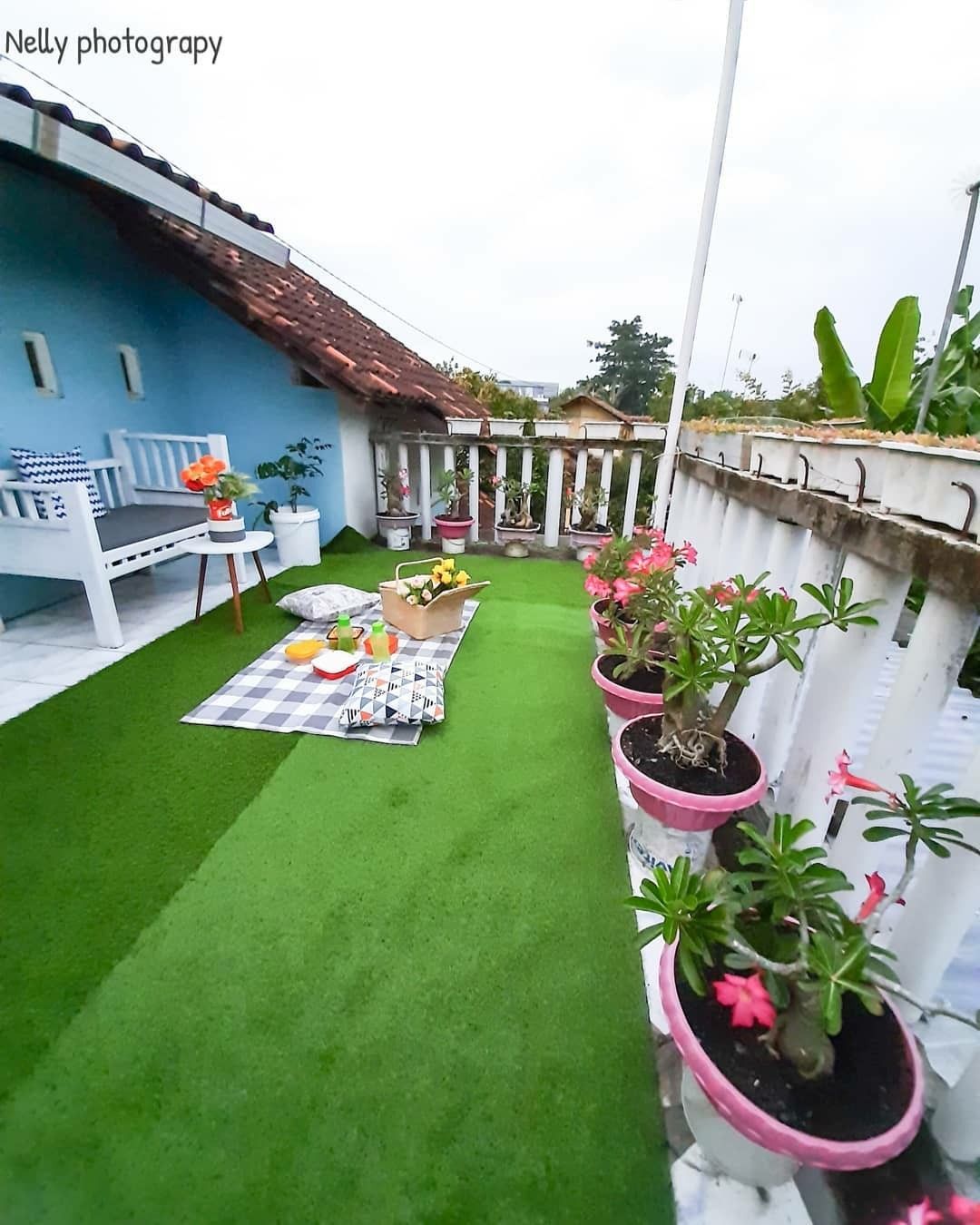 Professional Terrace Gardening Contractors in Chennai image 3