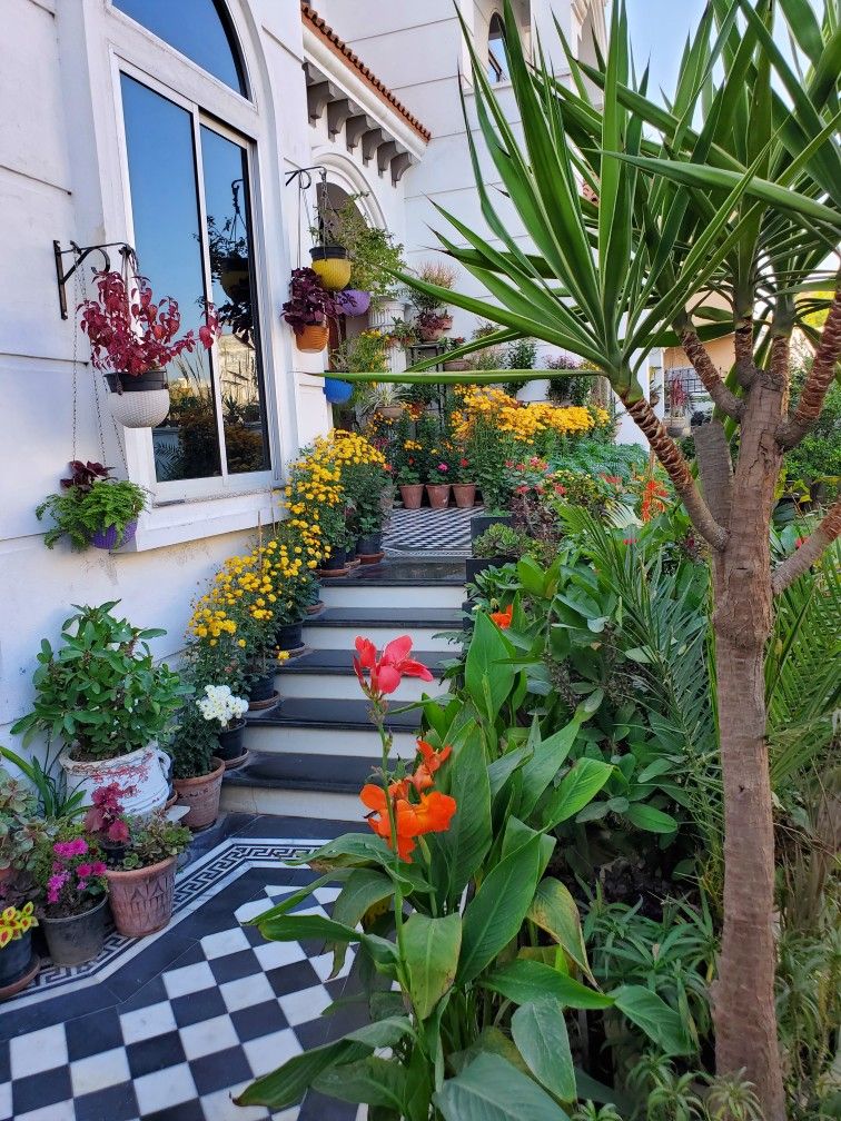 Professional Outdoor Gardening Experts Chennai image 5