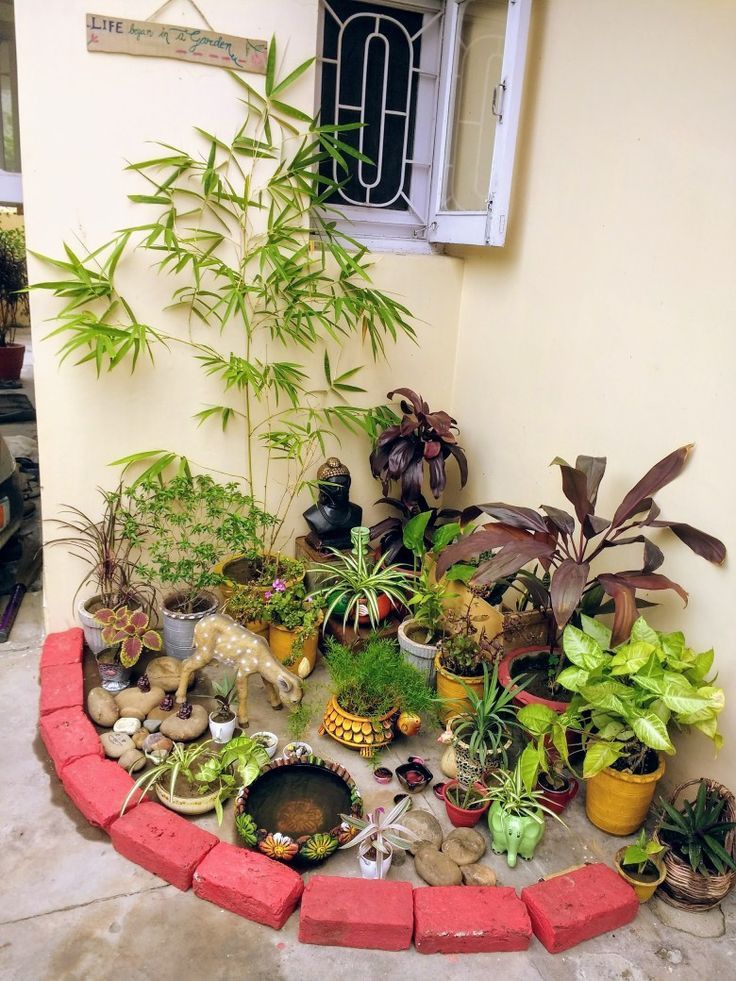 Customized Terrace Gardening Service in Chennai image 6
