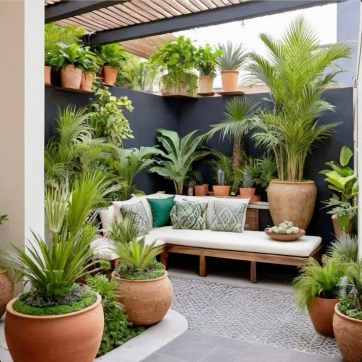 Complete Terrace Garden Solutions for Chennai Residences image 4