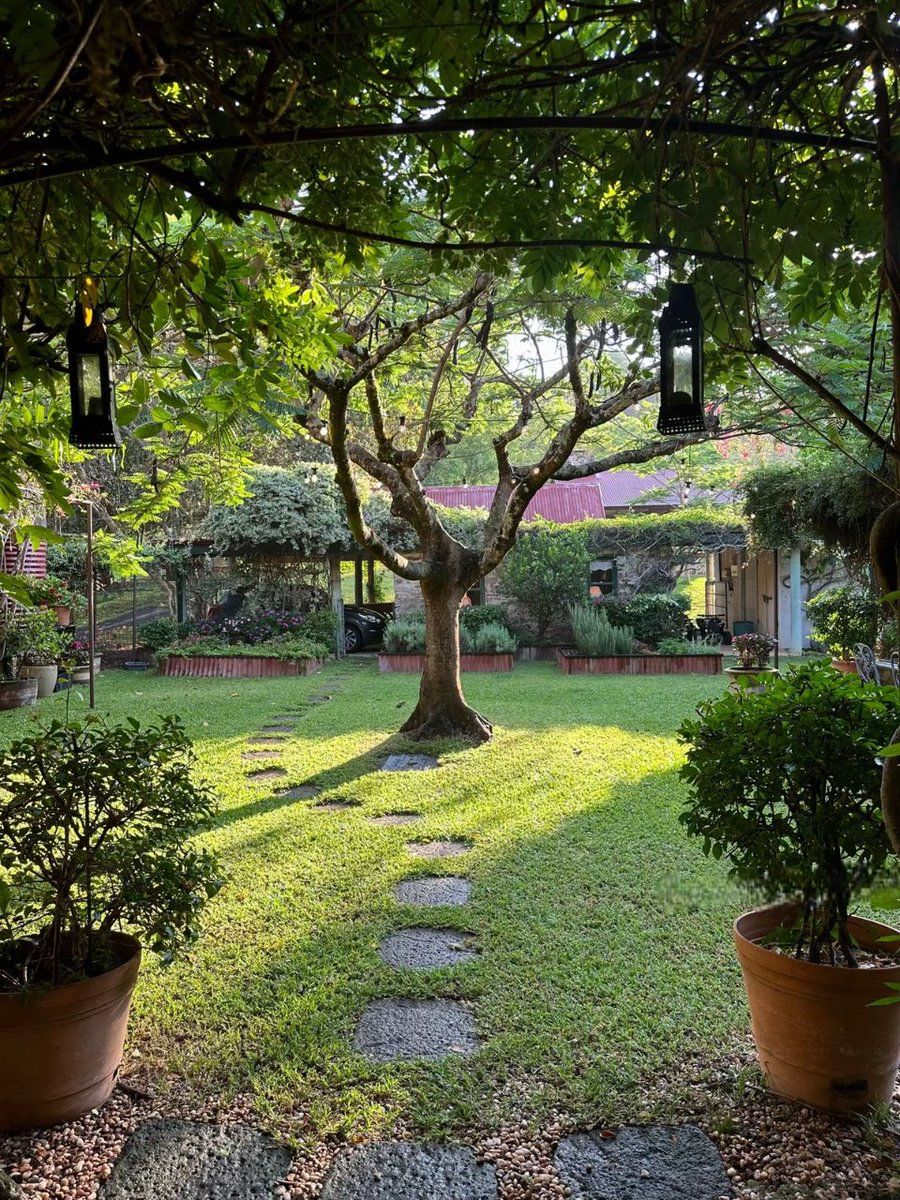 Frontyard Landscaping Service in Chennai image 4
