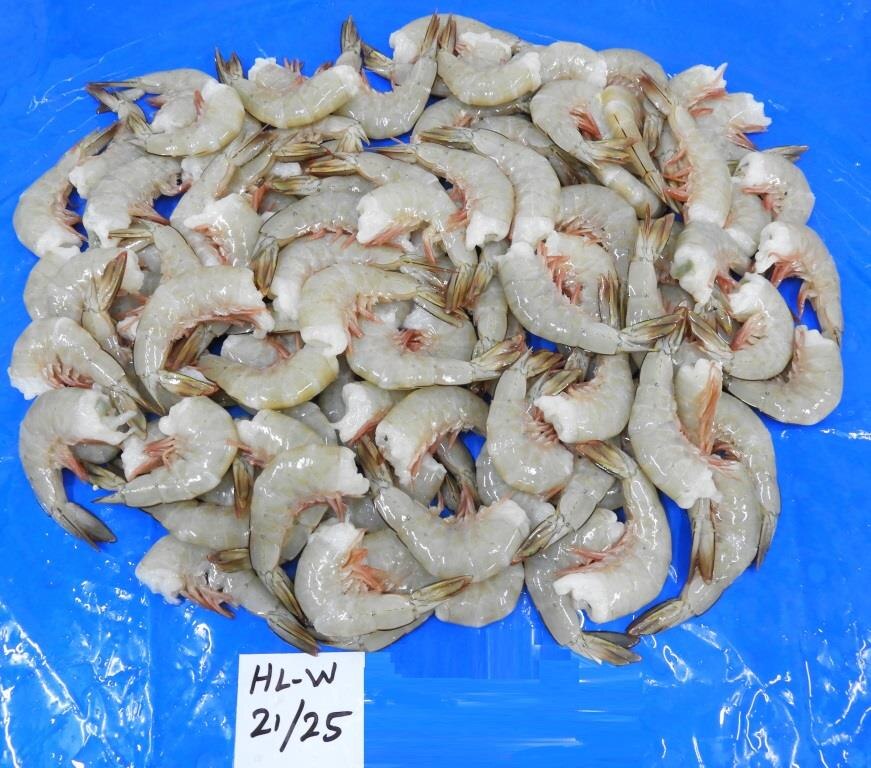 HEADLESS WHITE SHRIMPS & PRAWNS (BLOCK FROZEN) image 5