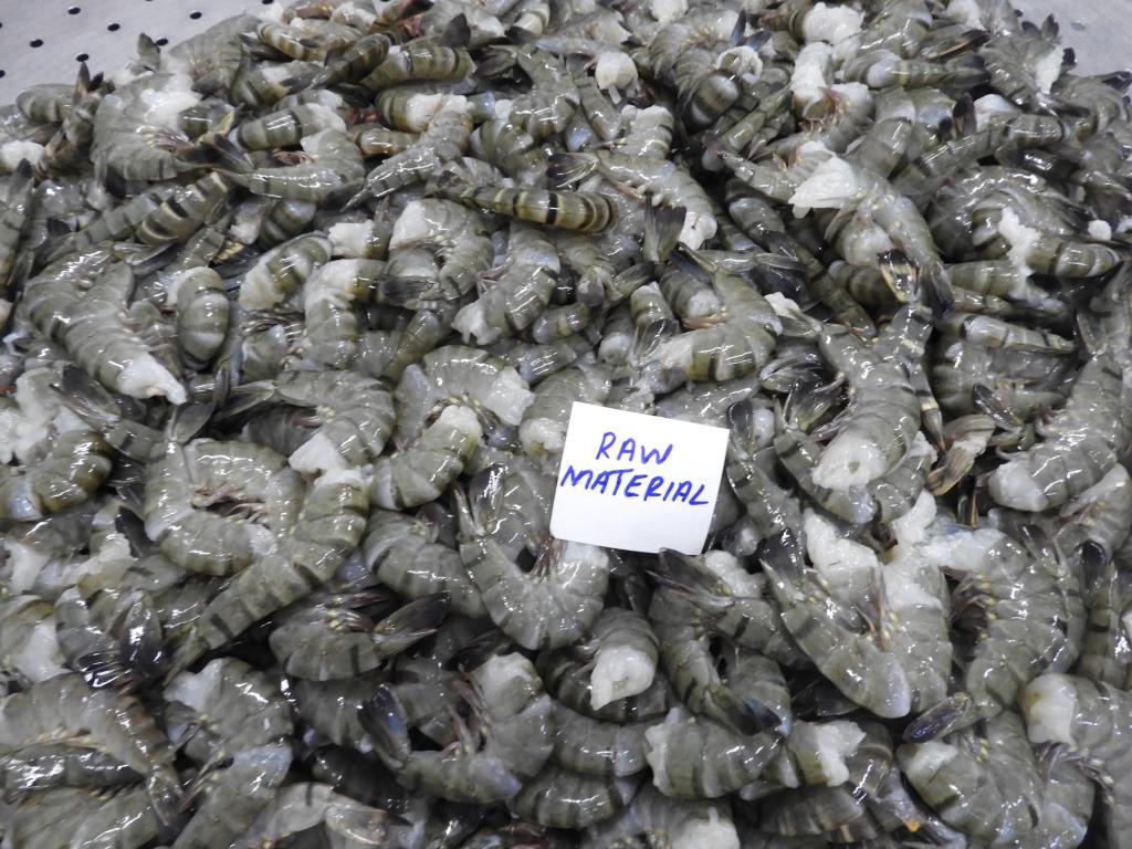 HEADLESS BLACK TIGER PRAWNS (BLOCK) image 5