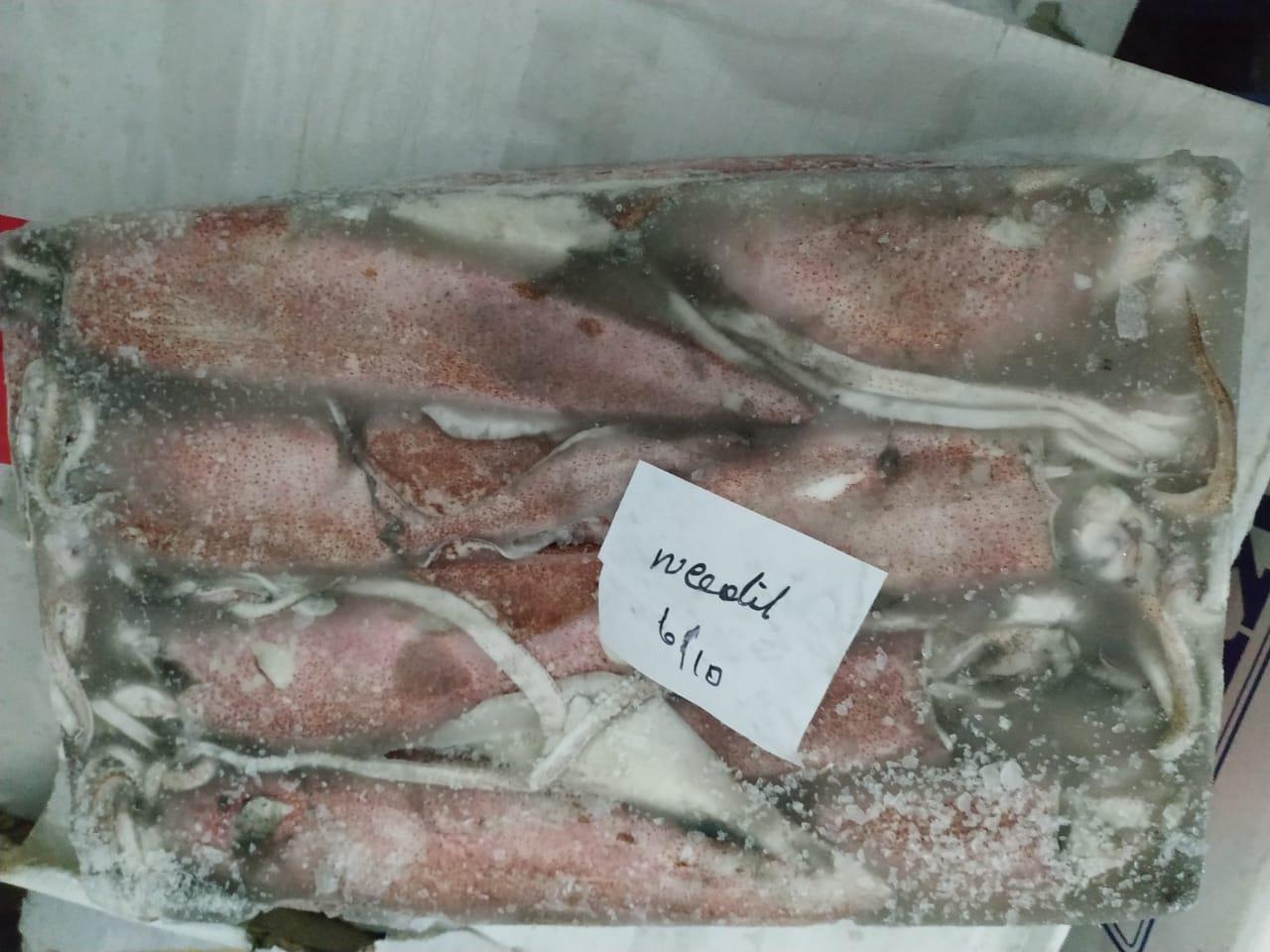 NEEDLE SQUID (BLOCK) image 3