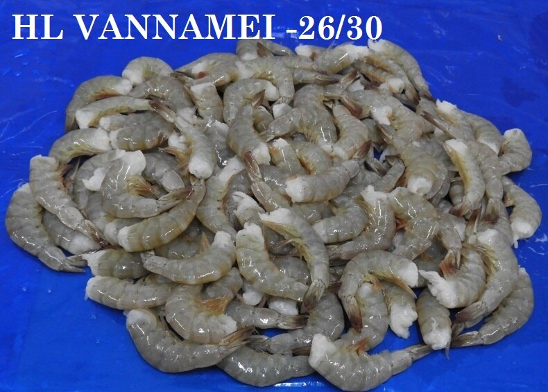 HEADLESS VANNAMEI SHRIMPS & PRAWNS image 2