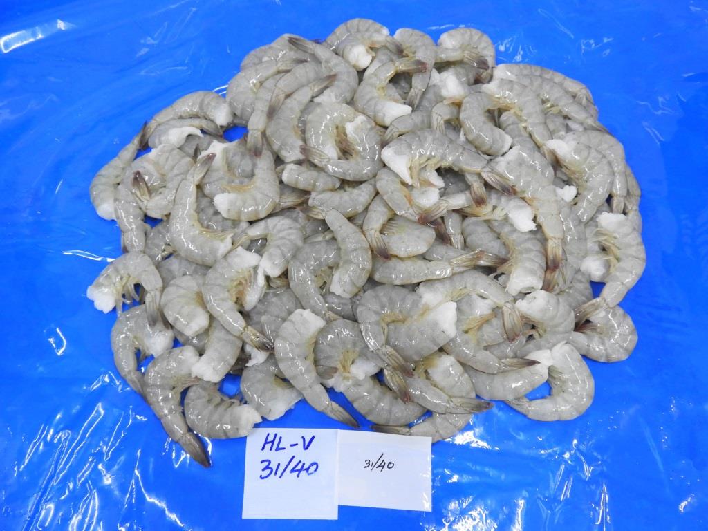 Headless Vannamei Shrimps image 3