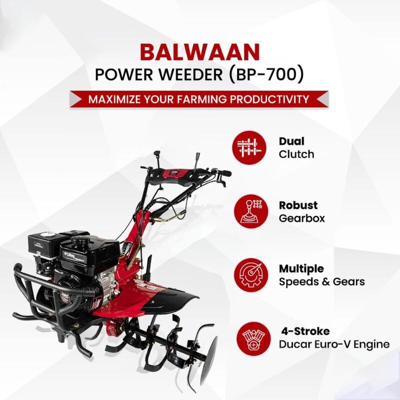 BP-700 image 3