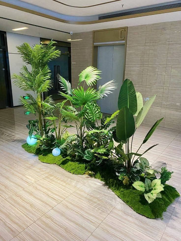 Indoor Plant Maintenance Service Chennai image 5