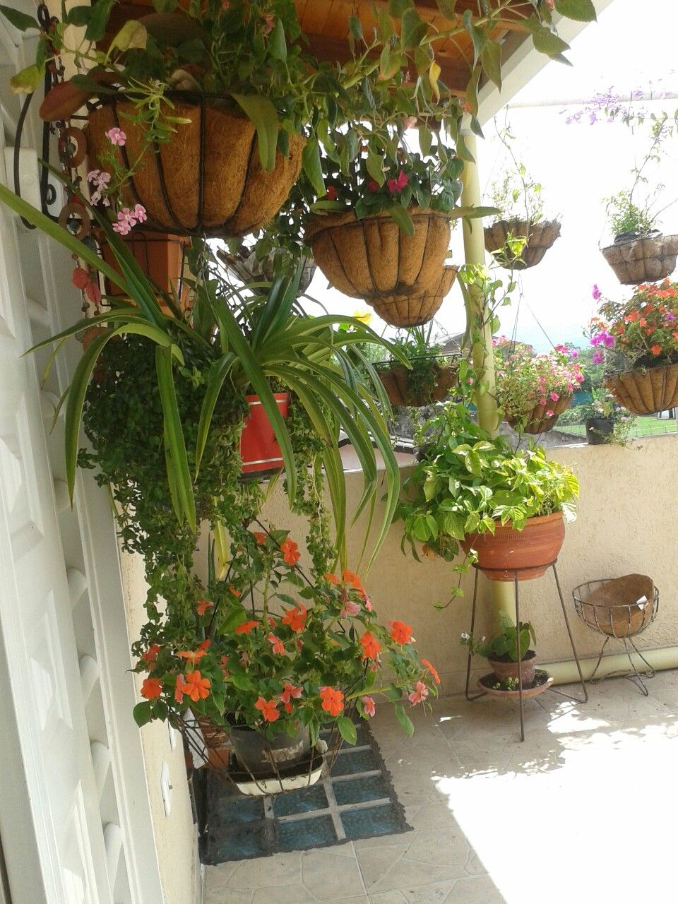 Outdoor Gardening for Apartments in Chennai image 3