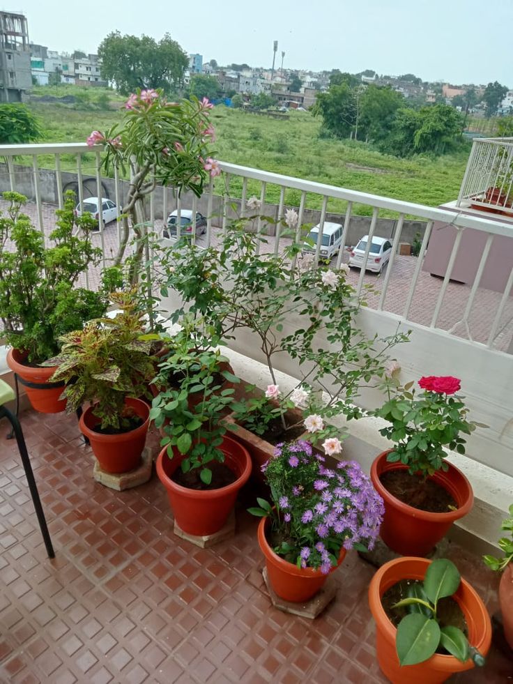 Professional Balcony Planters & Pots Setup in Chennai image 2