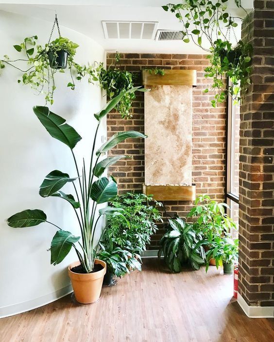 Indoor Garden Decoration Service Chennai image 2