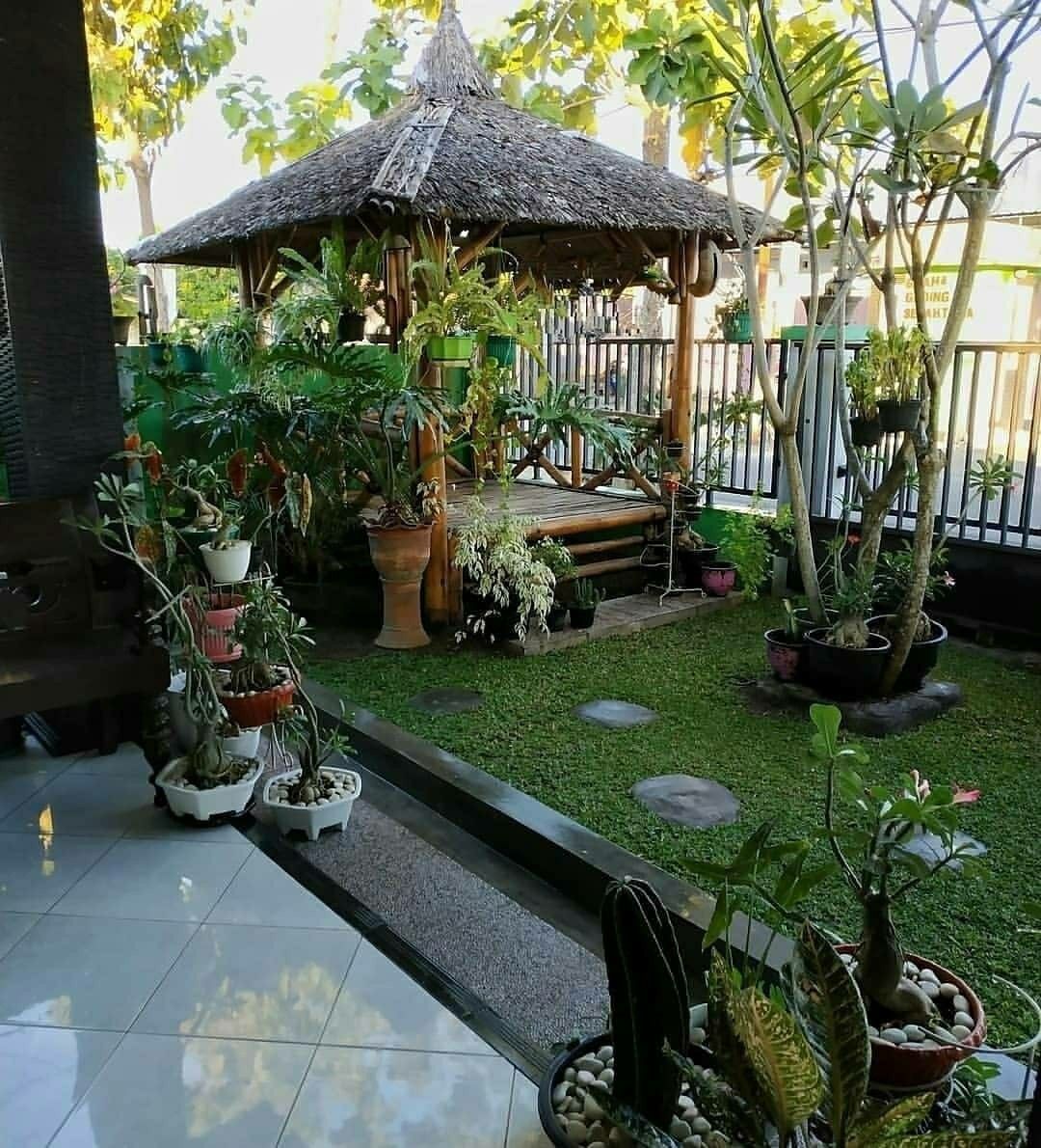 Backyard Returfing & Soil Improvement Chennai image 2