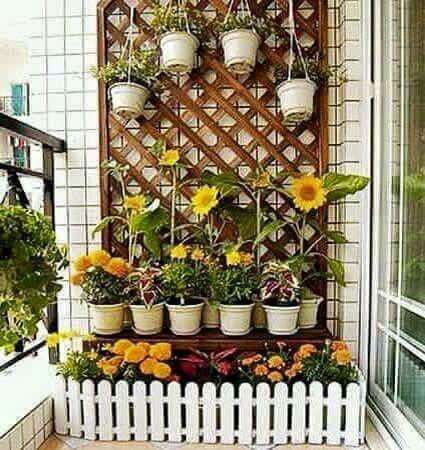 Budget-Friendly Balcony Gardening Service in Chennai image 4