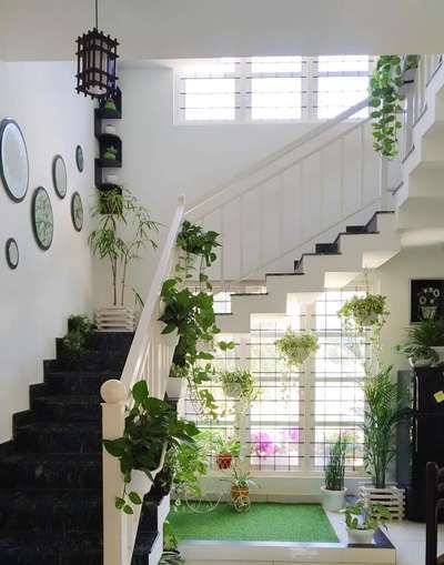 Best Indoor Garden Designers Chennai image 5