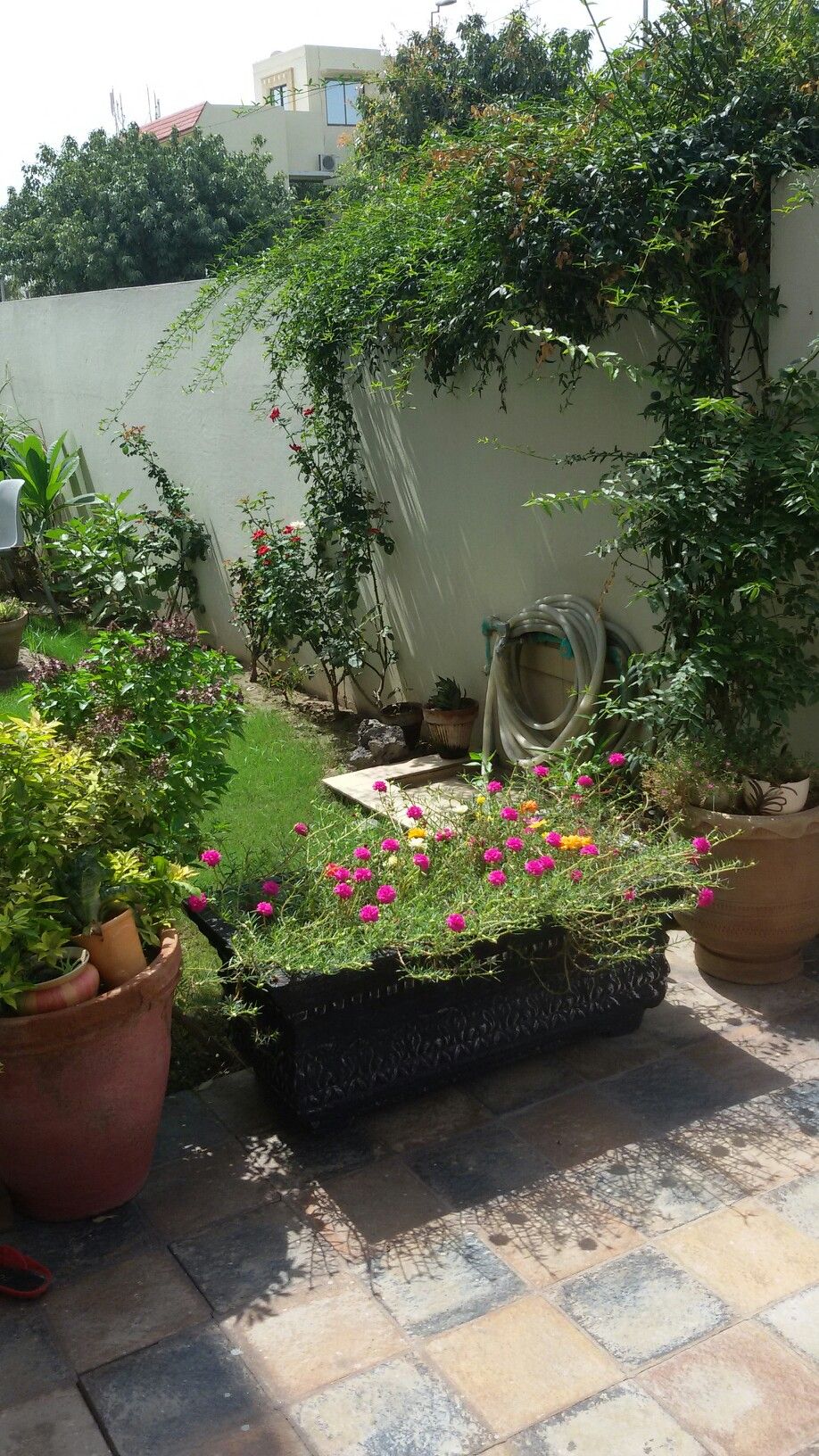 Outdoor Greenery Enhancement Services Chennai image 2