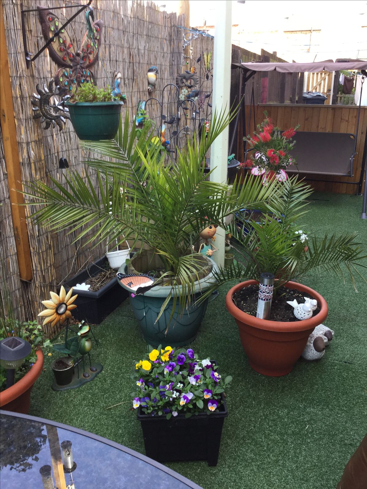 Outdoor Garden Setup & Design Chennai image 2