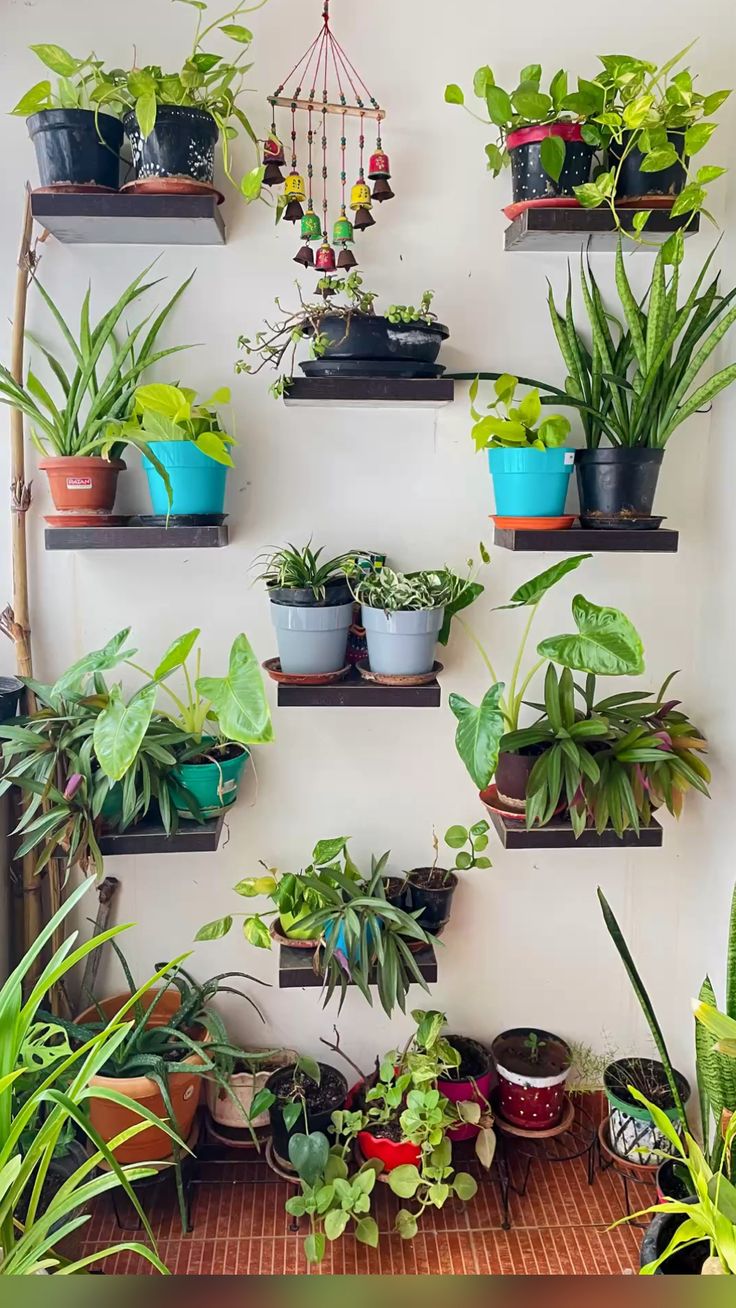 Small Balcony Gardening Ideas & Setup in Chennai image 5