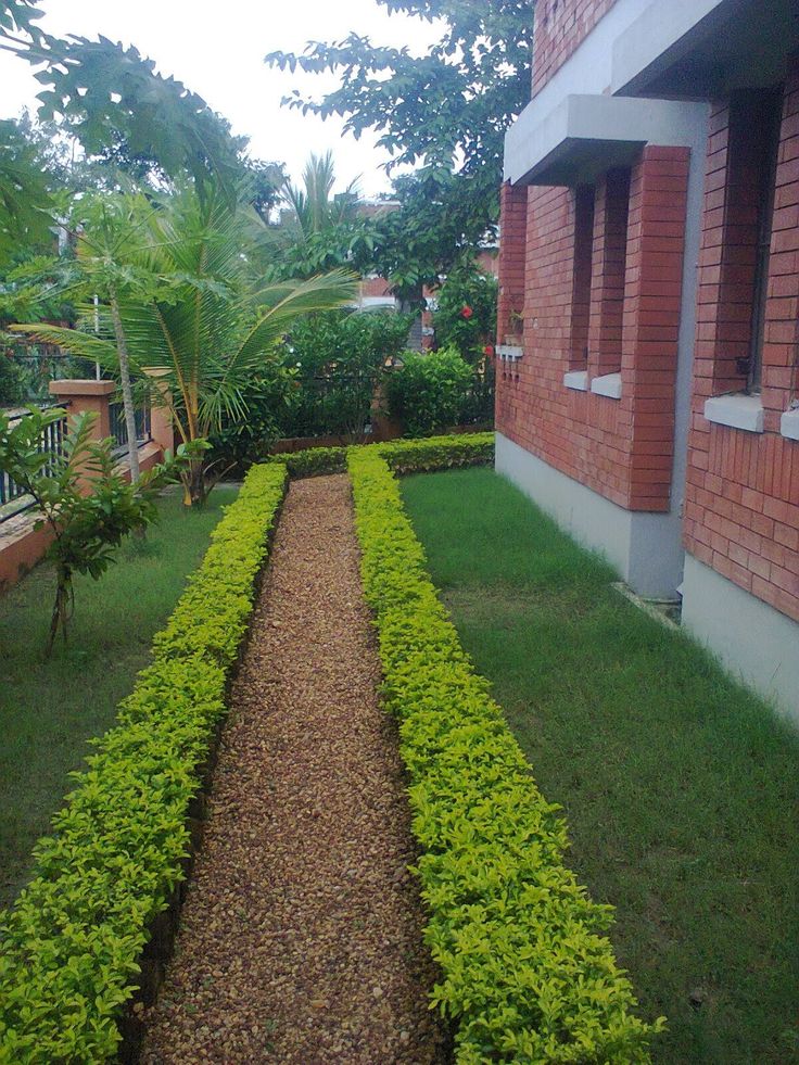 Frontyard Landscaping Service in Chennai image 2