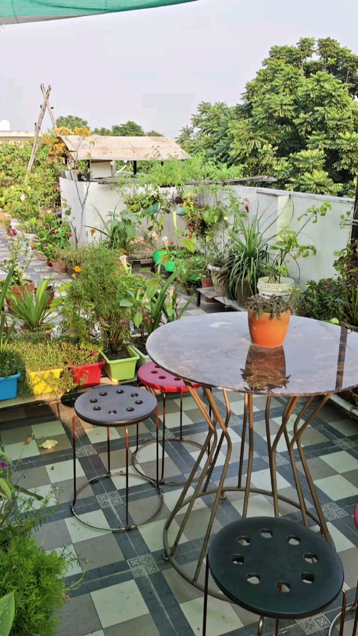 Premium Terrace Gardening Service for Villas in Chennai image 4