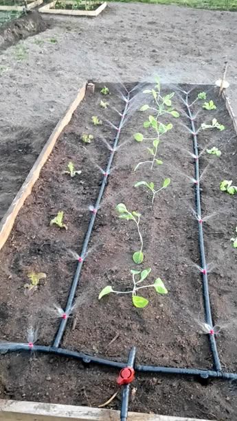 Outdoor Garden Drip Irrigation Setup Chennai image 3