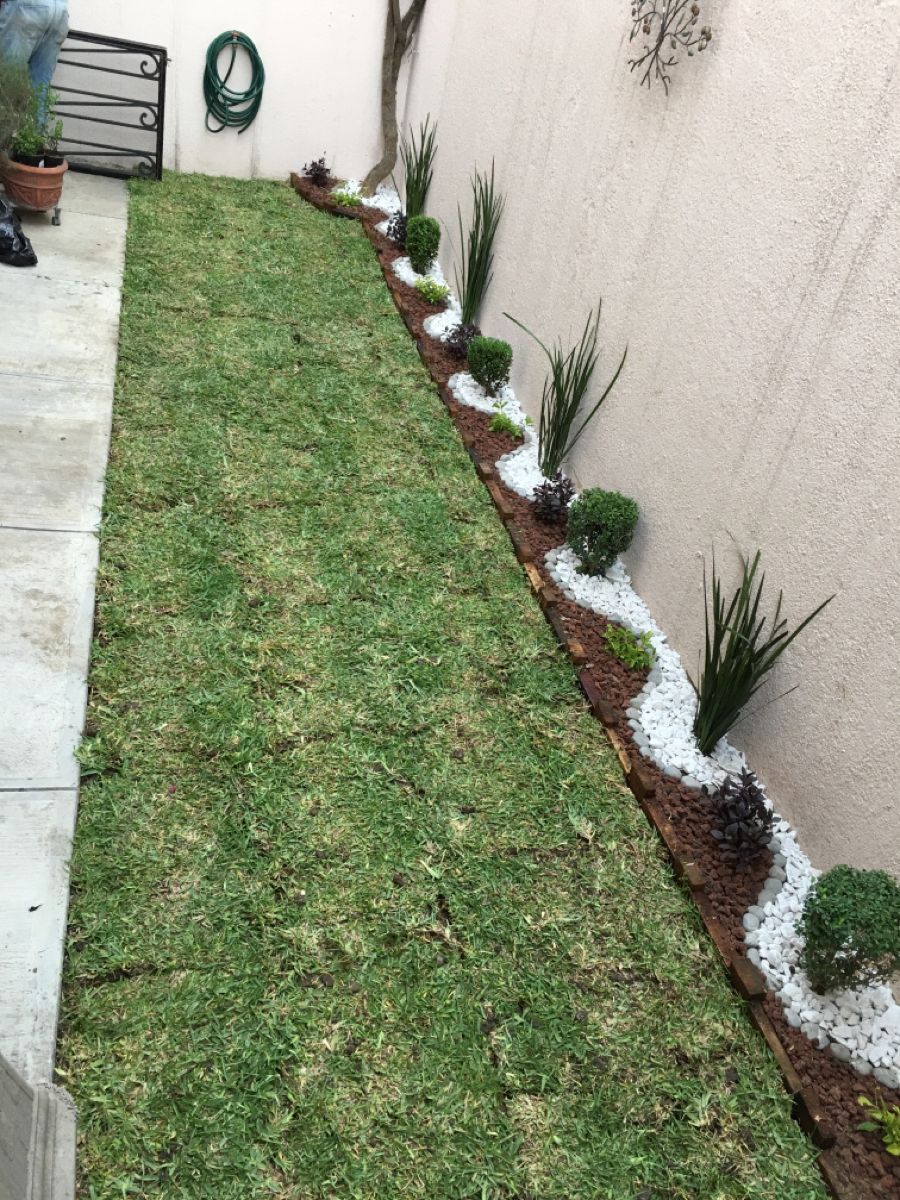 Backyard Landscaping and Maintenance Chennai image 4