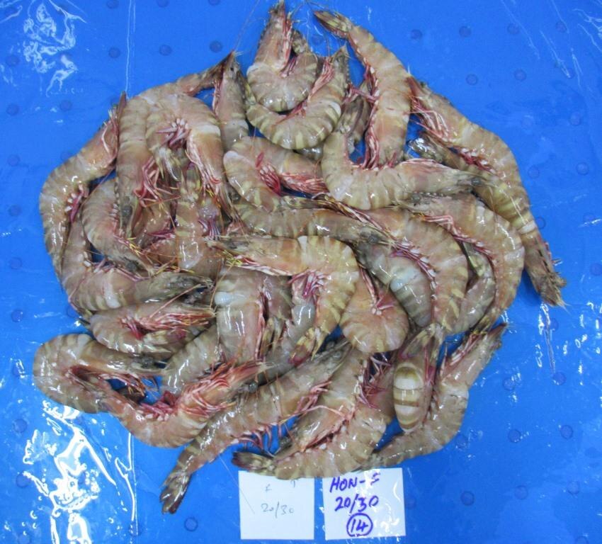 HEAD ON FLOWER SHRIMPS & PRAWNS image 4