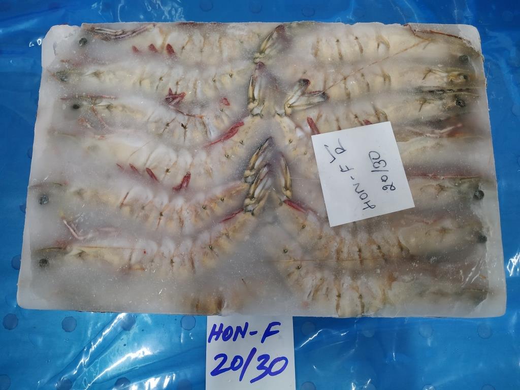 HEAD ON FLOWER SHRIMPS & PRAWNS (BLOCK) image 2