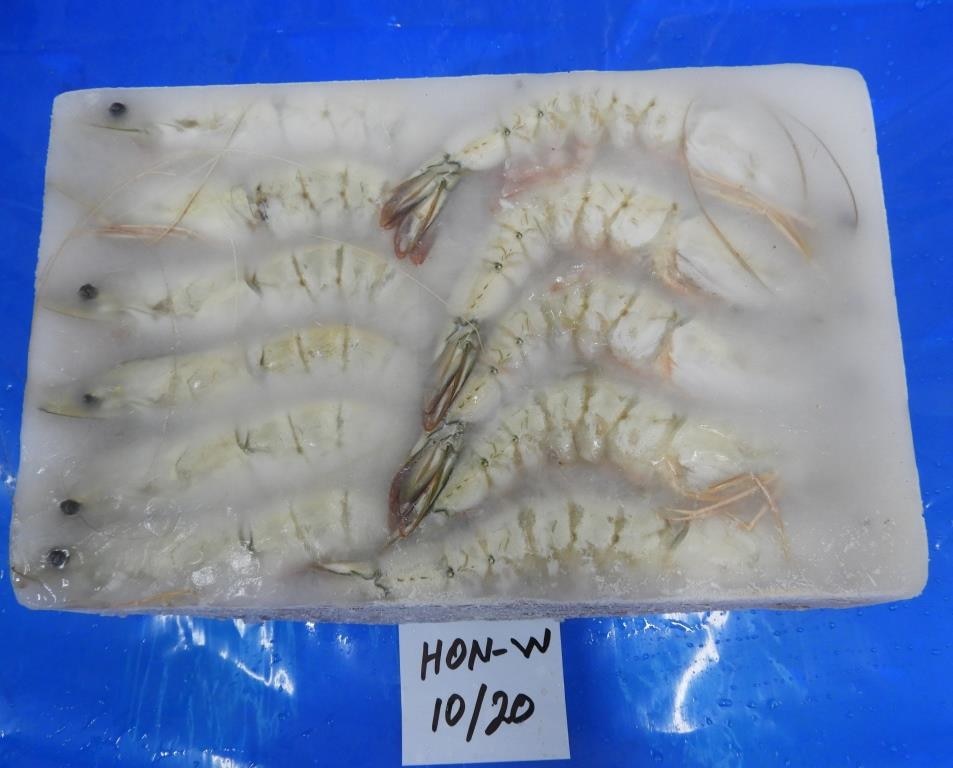 HEAD ON WHITE SHRIMPS/PRAWNS - 10/20 GRADE image 2