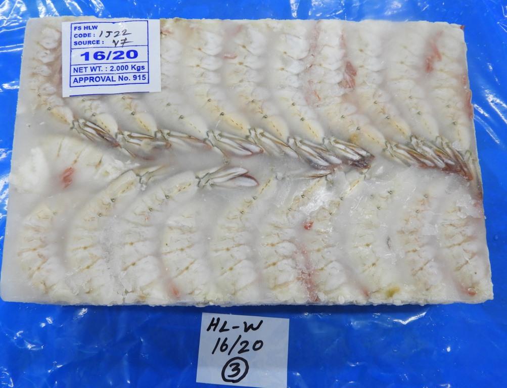 HEADLESS WHITE SHRIMPS & PRAWNS image 5