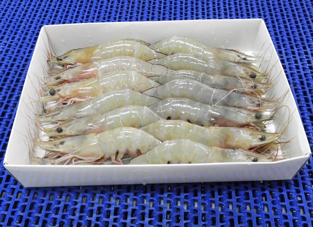 HEAD ON WHITE SHRIMPS/PRAWNS - SEMI IQF image 3