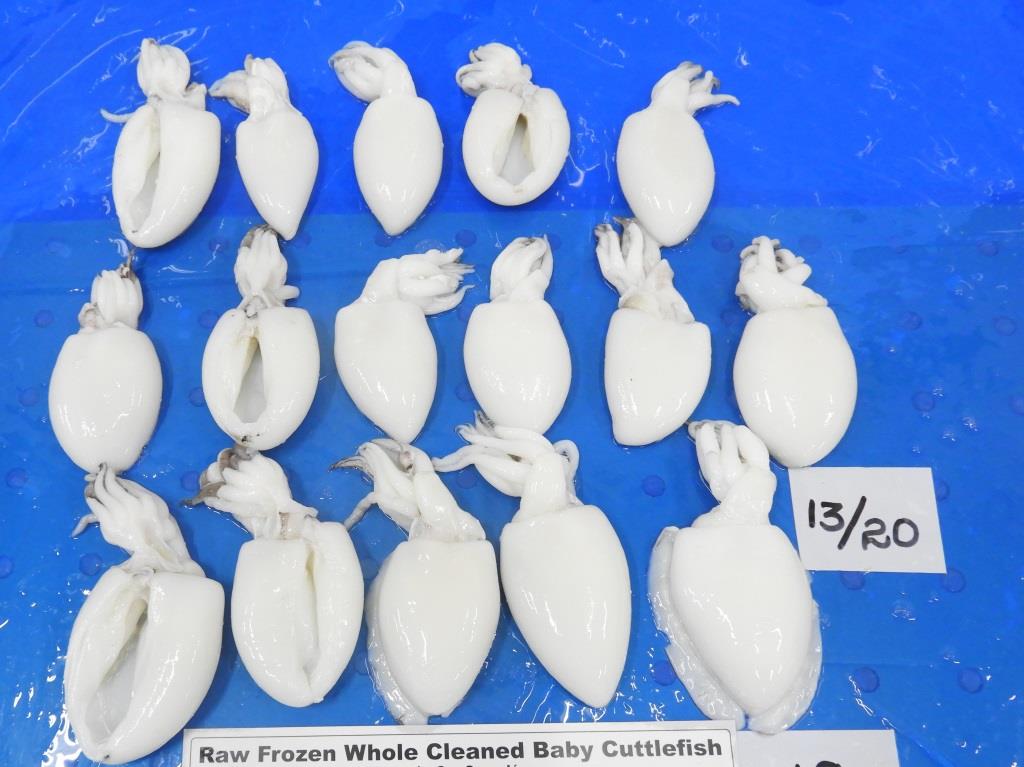 BABY CUTTLEFISH (IQF) image 3