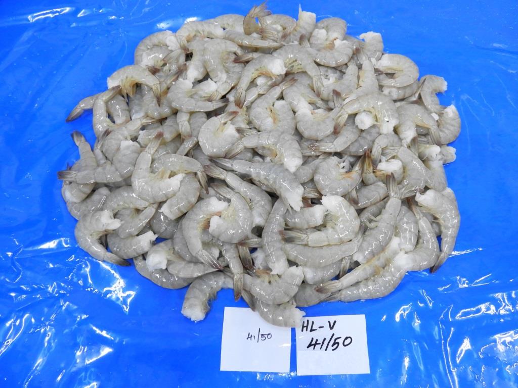 Headless Vannamei Shrimps image 3