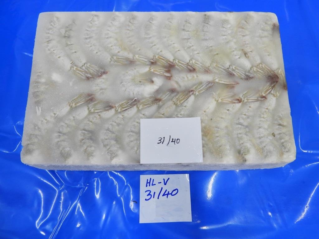 Headless Vannamei Shrimps image 4