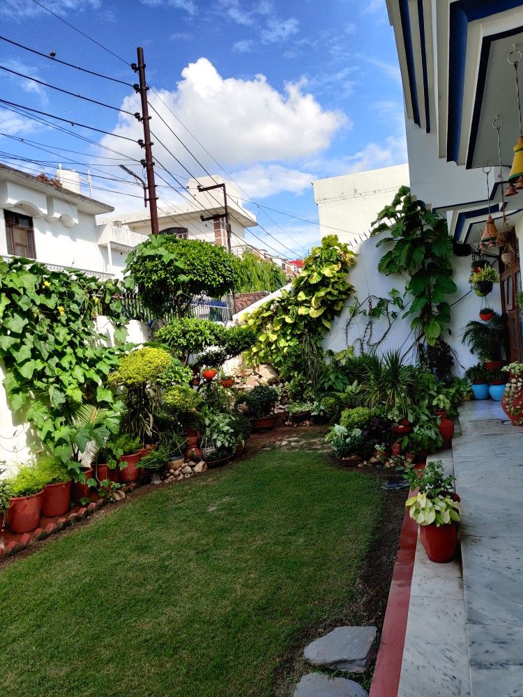 Outdoor Garden Pest Control Solutions Chennai image 5