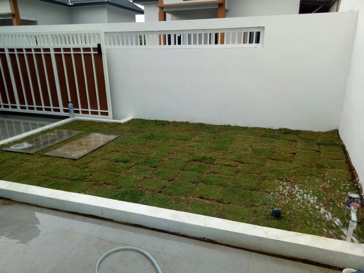 Frontyard Returfing & Soil Improvement Chennai image 4