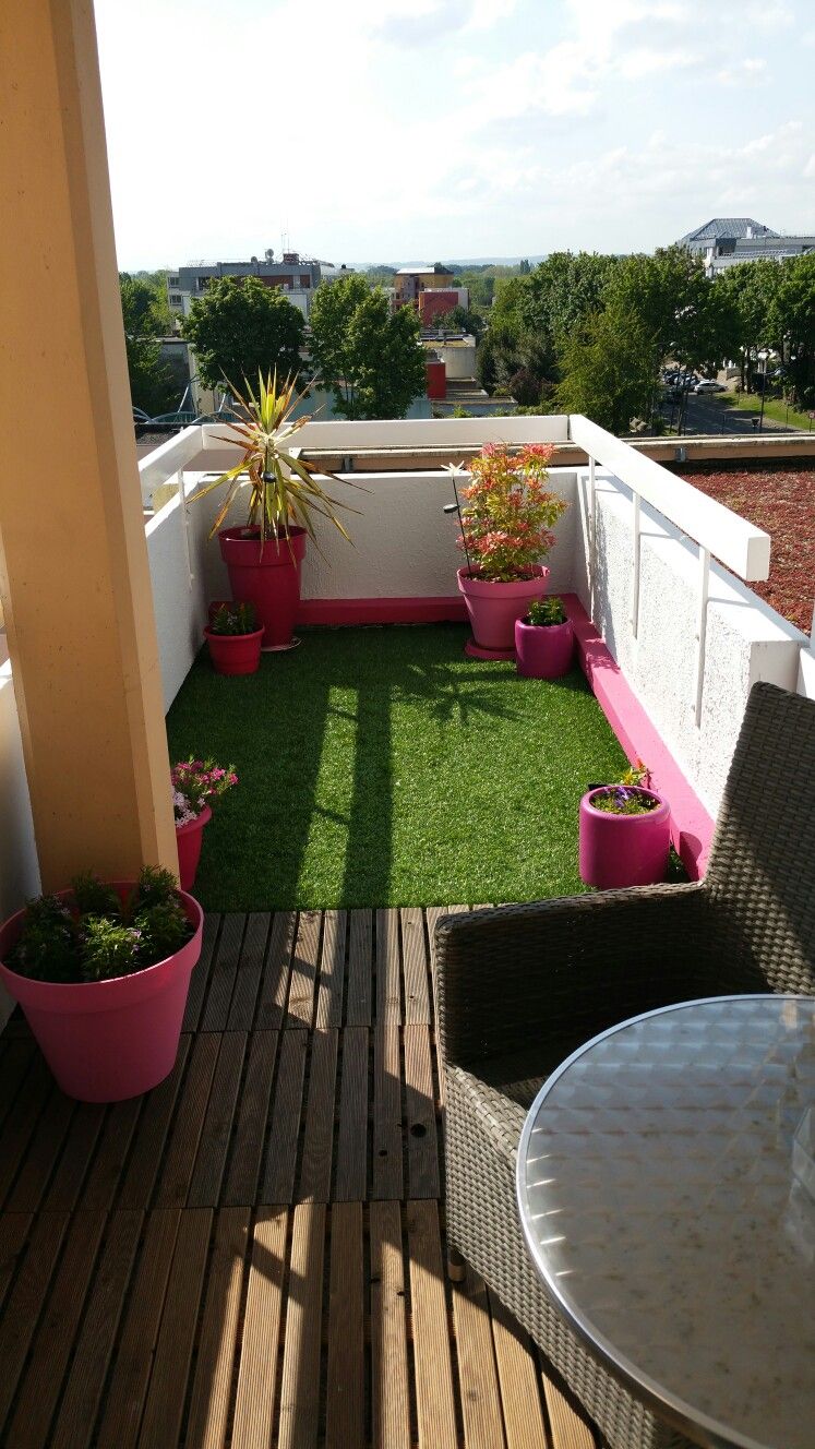 Balcony Creeper & Vertical Garden Installation in Chennai image 2