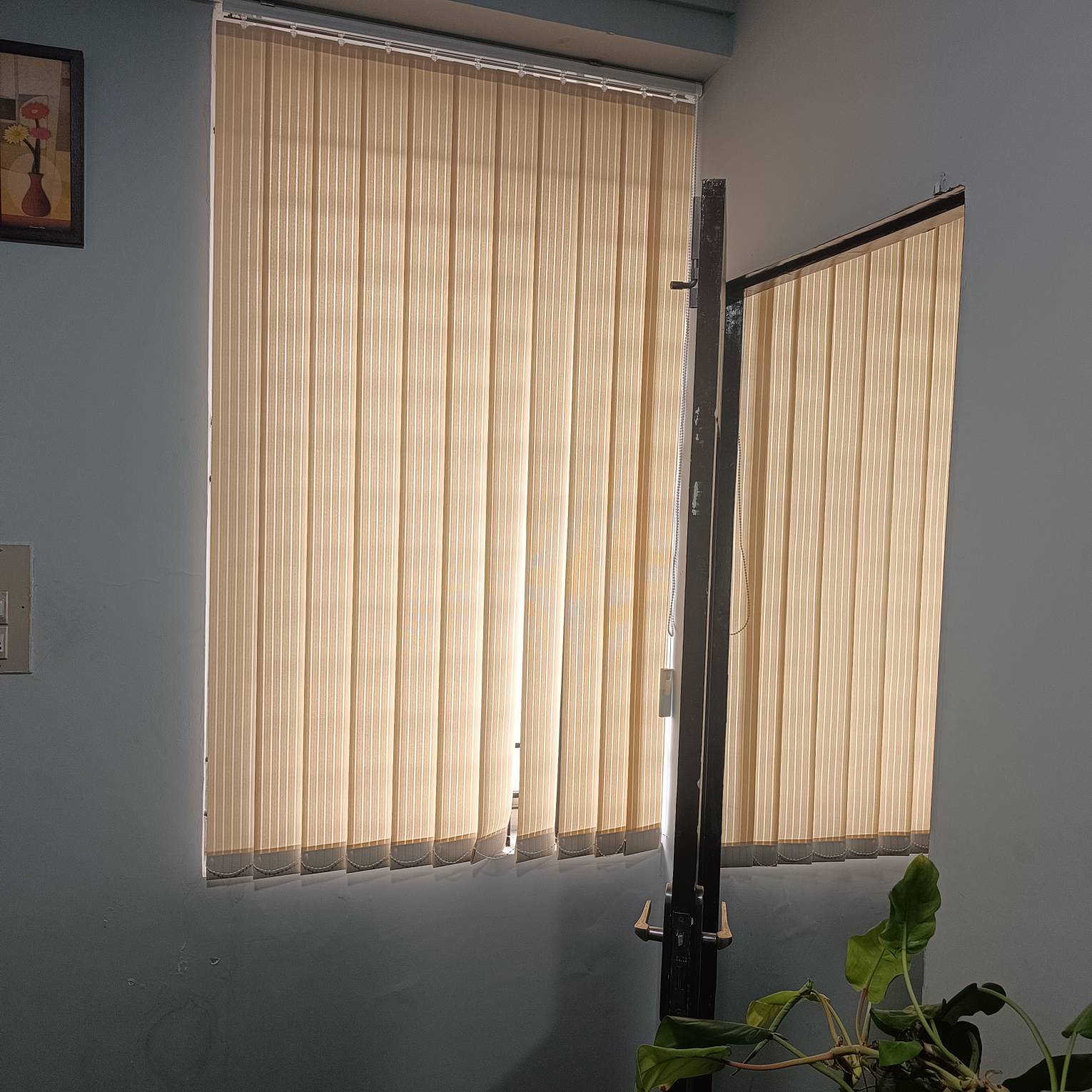 Vertical Blinds image 7