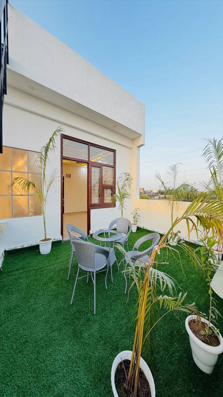 Affordable Terrace Garden Installation Service in Chennai image 2