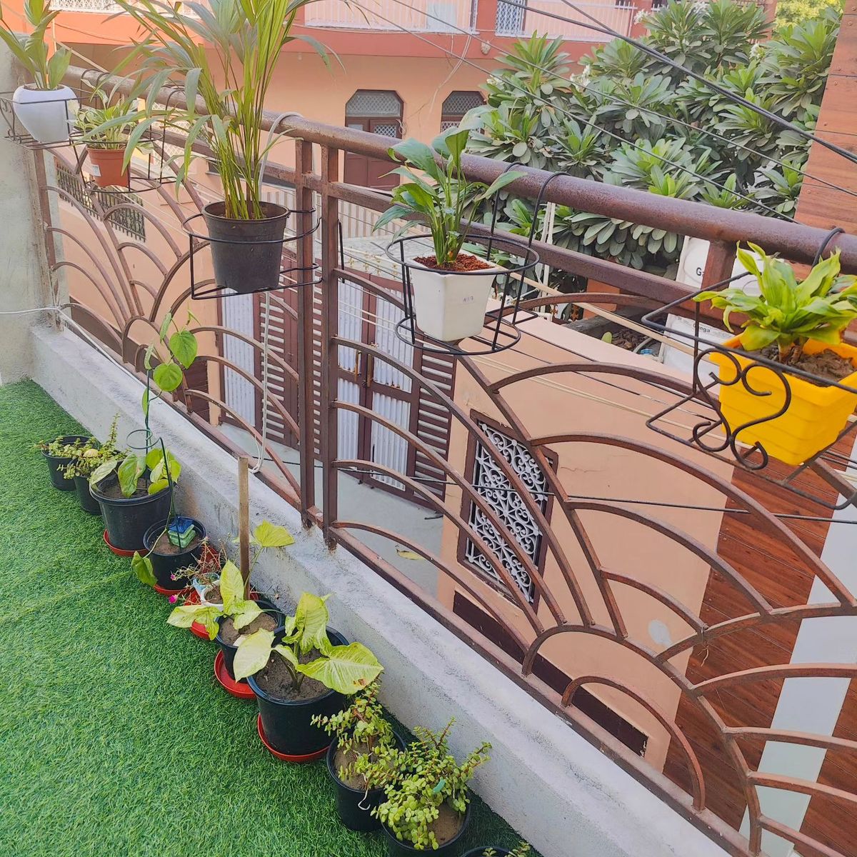 Premium Terrace Gardening Service for Villas in Chennai image 5