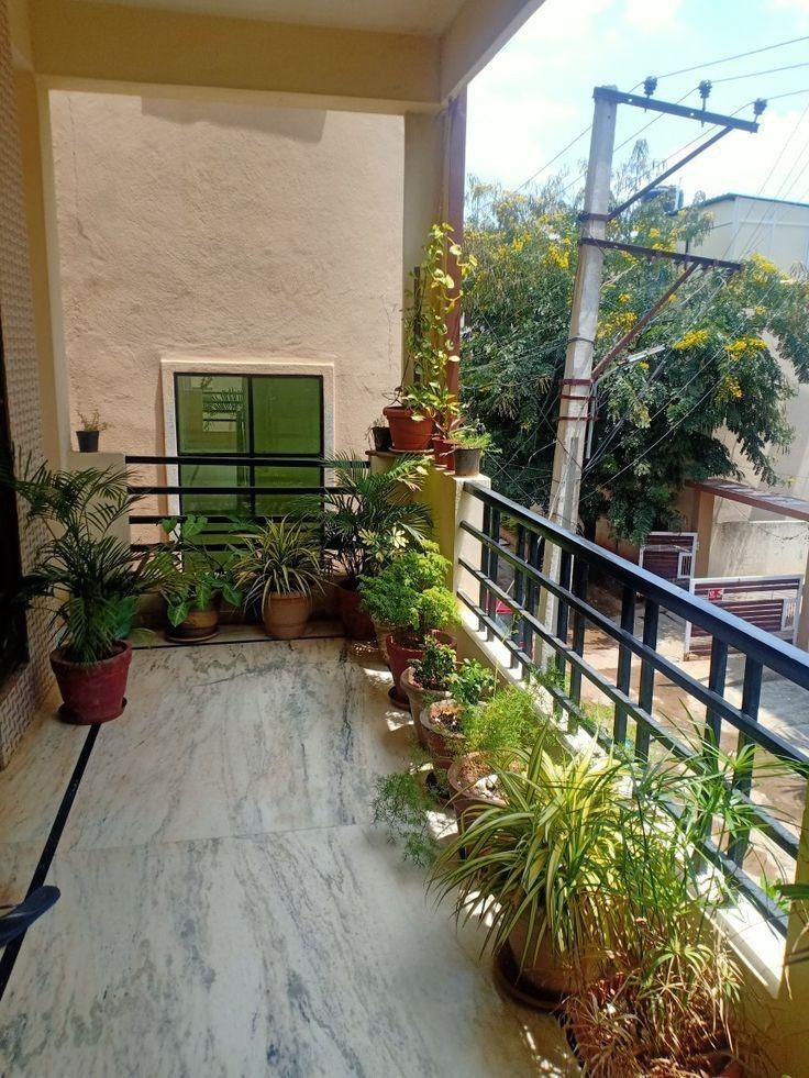 Expert Balcony Gardening Company in Chennai image 4